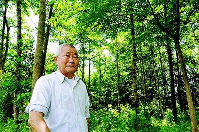 白鹭老人